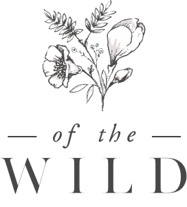 This is the of the wild logo